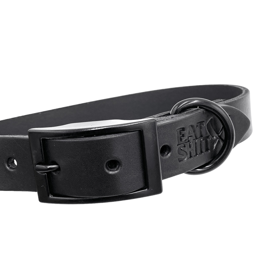 Murdered Out Dog Collar
